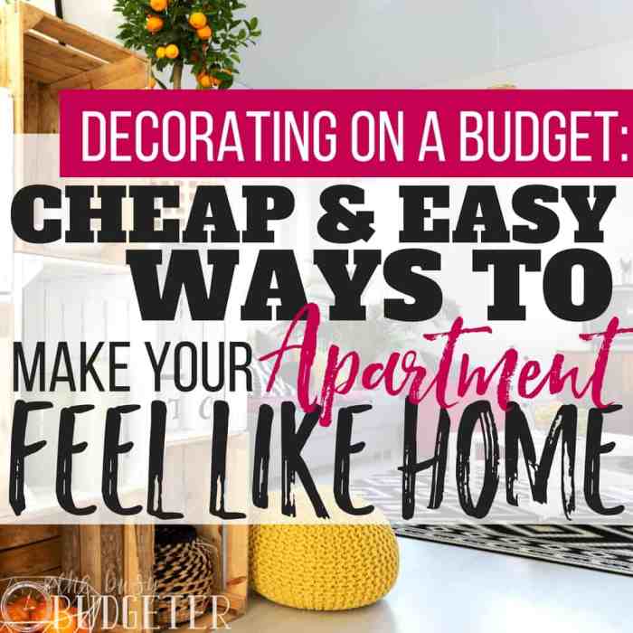 How to decorate my apartment on a budget