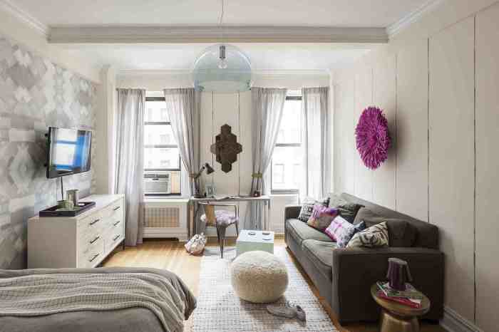 How to decorate a large studio apartment