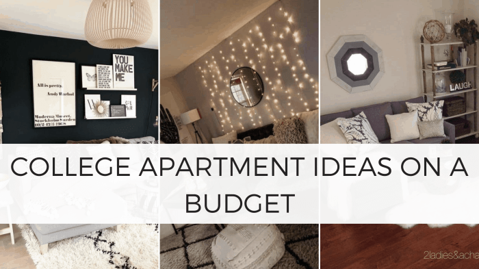 How to cheaply decorate a college apartment