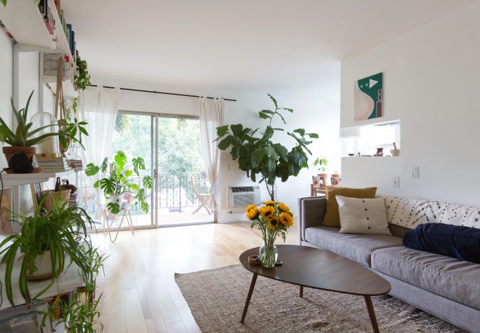 How to decorate an apartment with plants